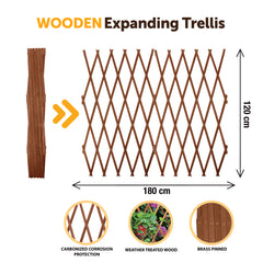 180*120cm Expanding Wooden Trellis