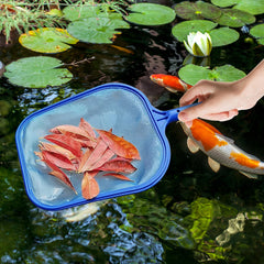 Leaf Skimmer