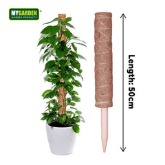 Moss Poles With Accessories 50cm