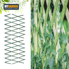 180*60cm Expanding Wooden Trellis