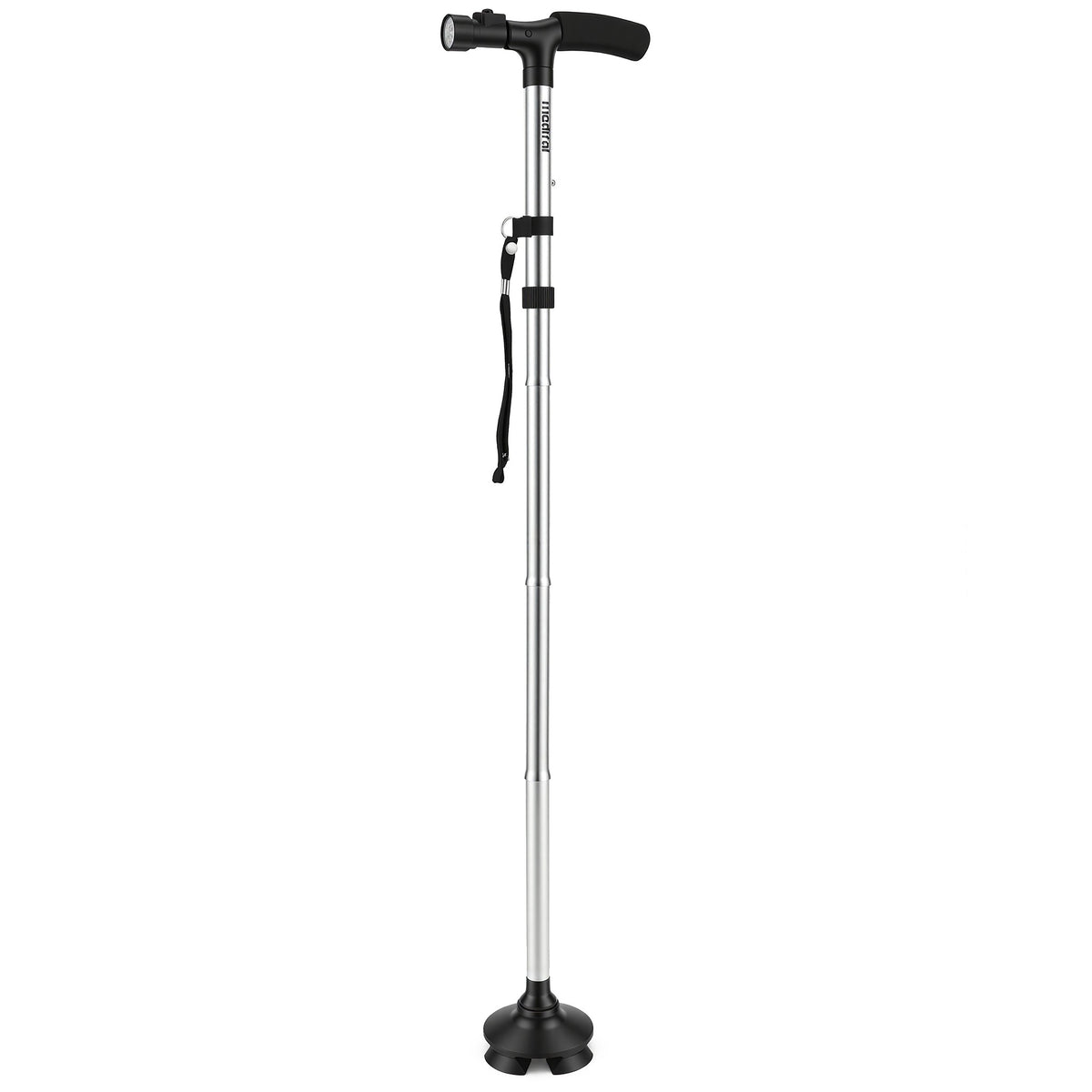 Walking Stick Silver