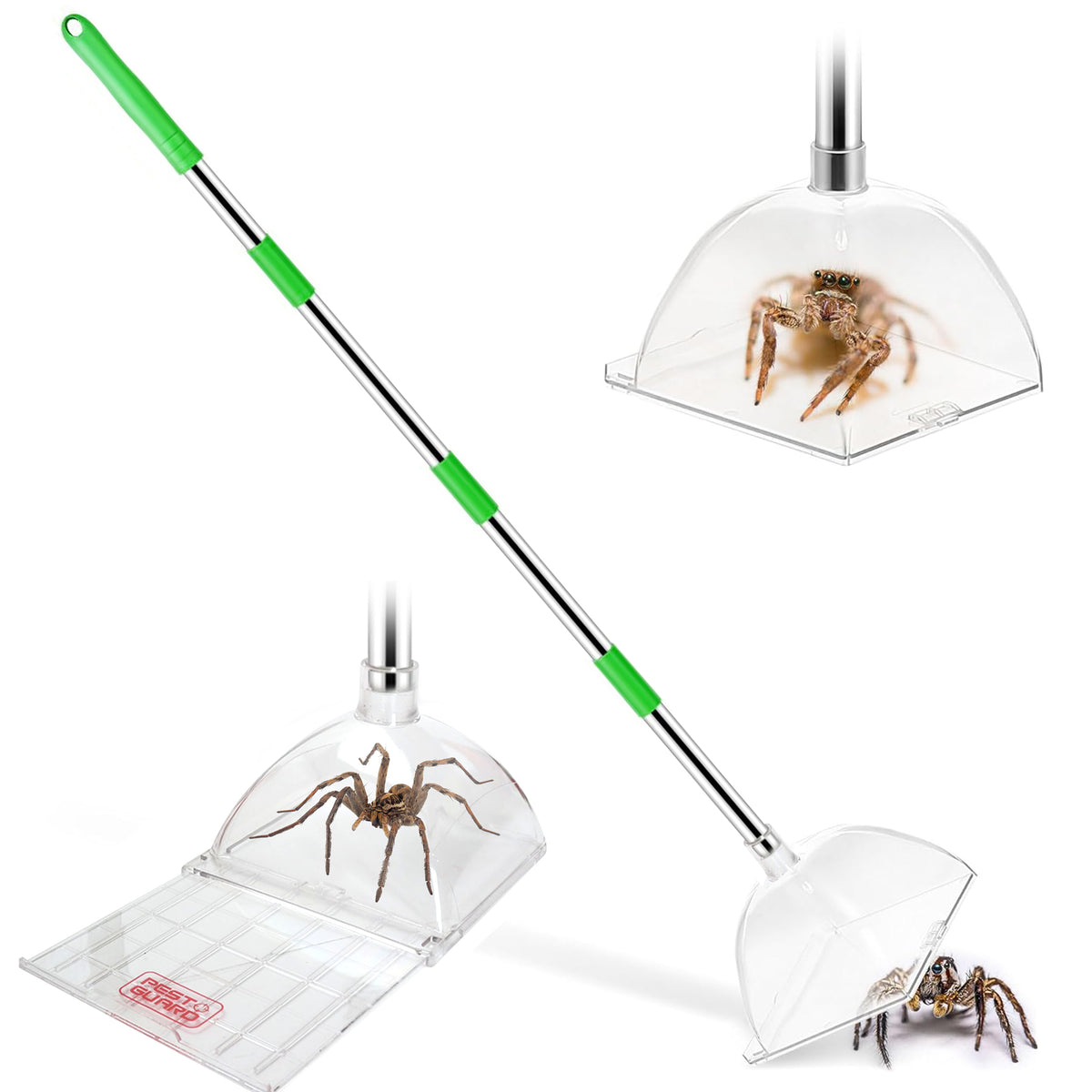 Spider Catcher - 4 Sections