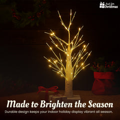 Christmas-LED Birch Tree (12)