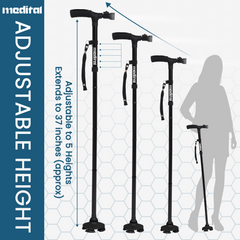 Walking Stick Black