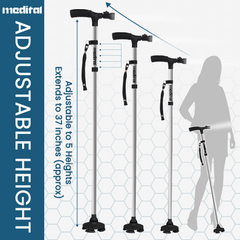 Walking Stick Silver