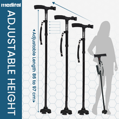 Walking Stick