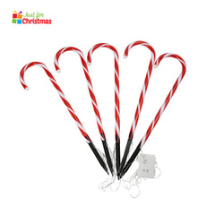 5 Piece LED Candy Cane Lights