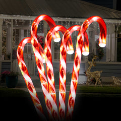 5 Piece LED Candy Cane Lights