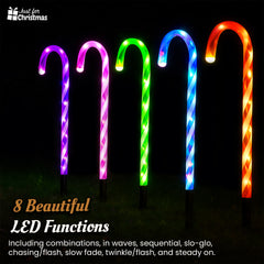 Christmas-6PK Candy Canes