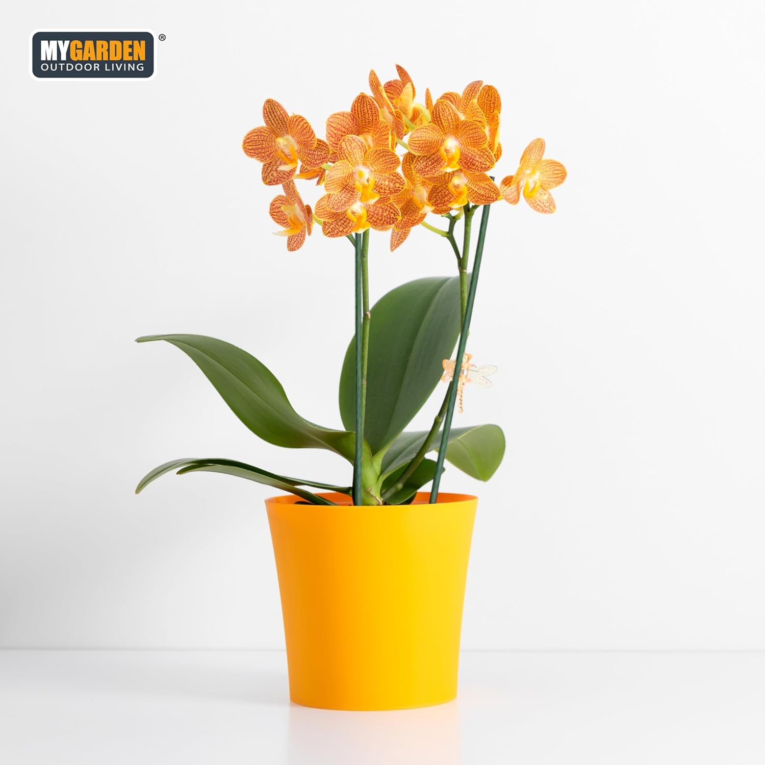 30PK Bamboo Flower Stick 75x0.5cm
