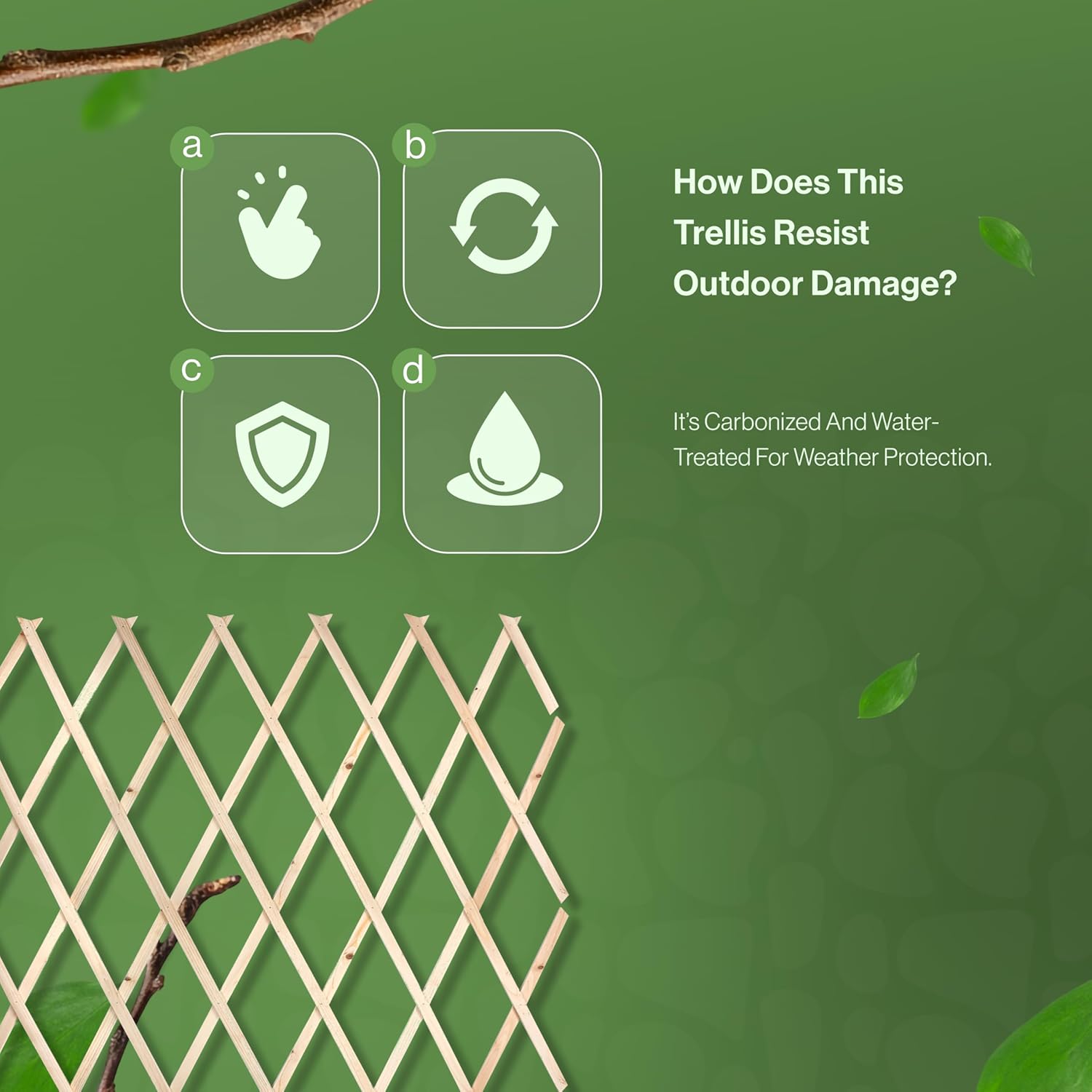 180*90cm Expanding Wooden Trellis