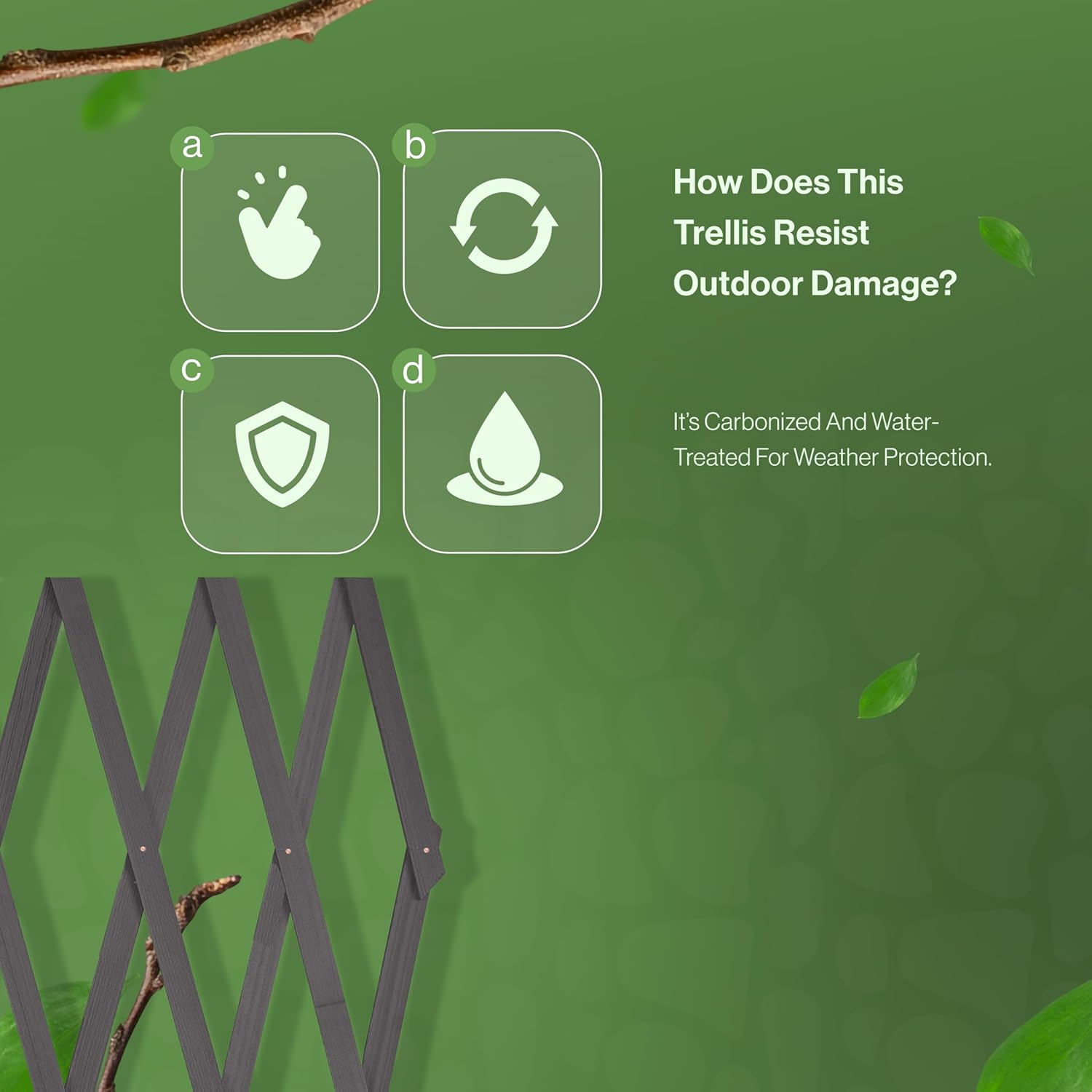 180*90cm Expanding Wooden Trellis