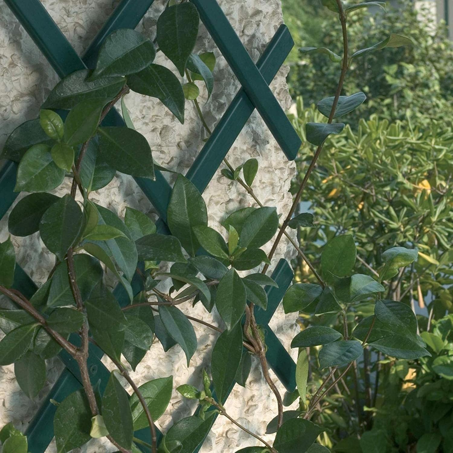 180*120cm Expanding Wooden Trellis