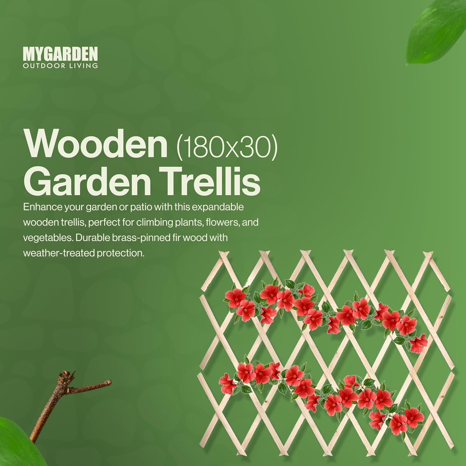 180*60cm Expanding Wooden Trellis