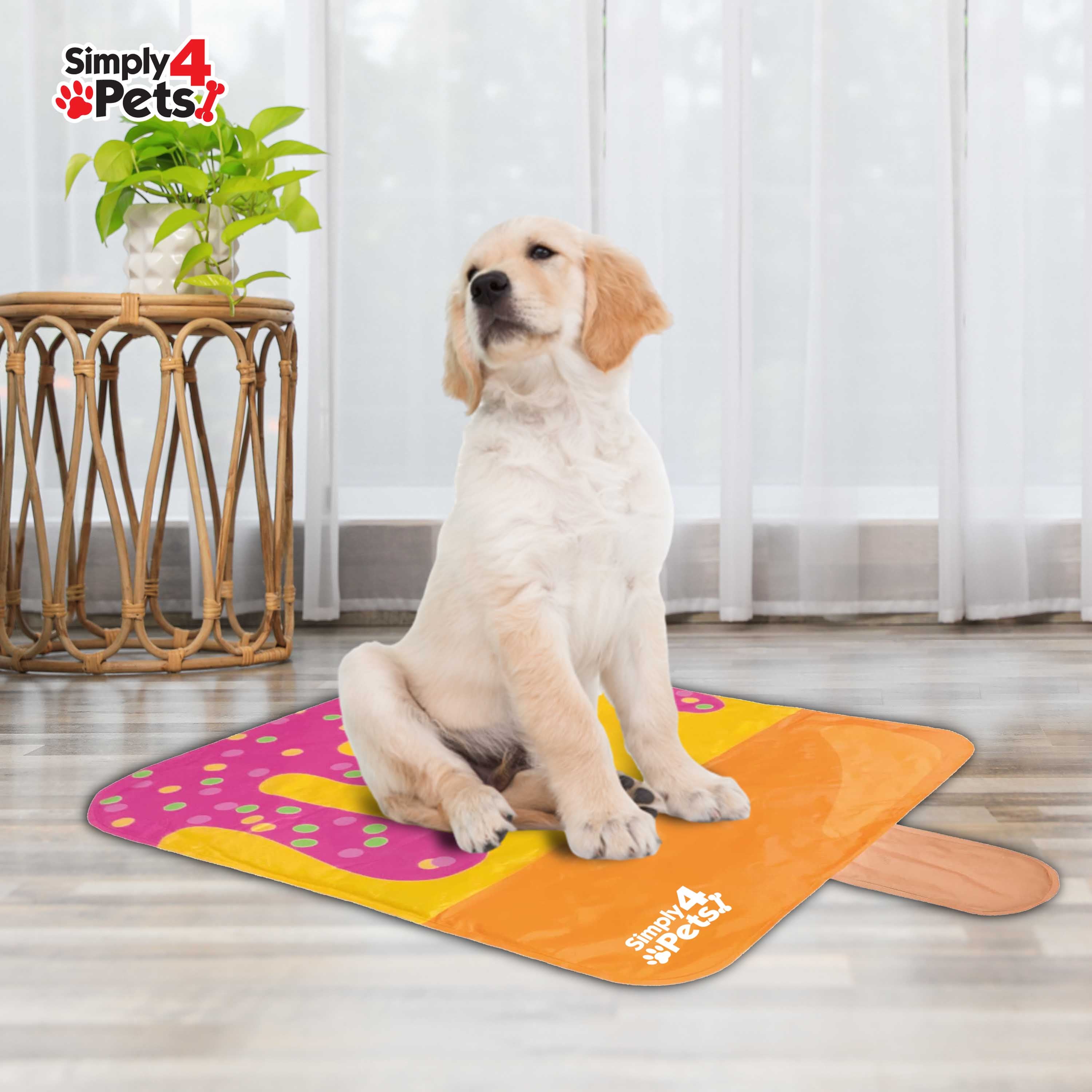 Fun Ice Lolly Design Pet Cooling Mat